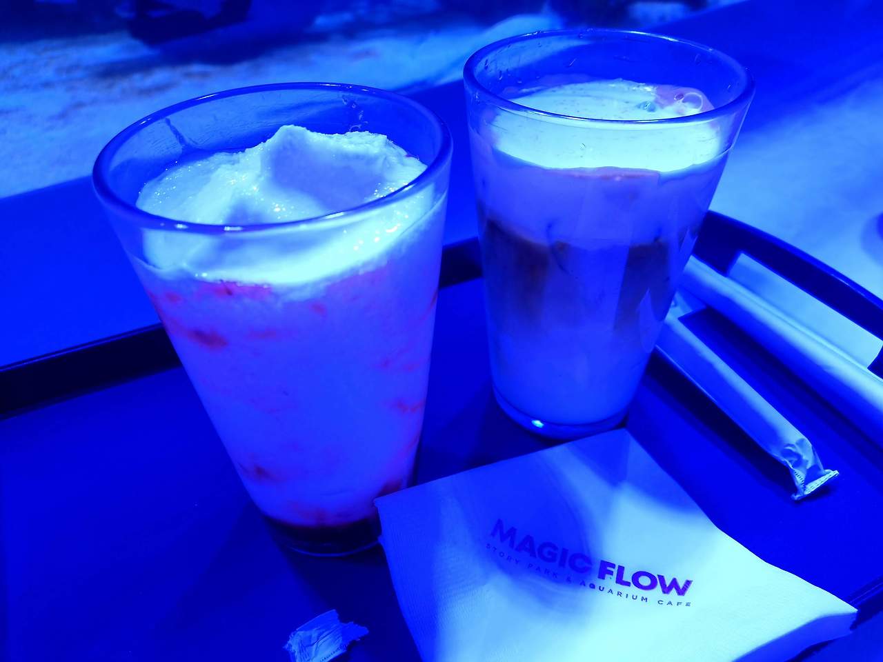 고양스타필드 매직플로우 아쿠아리움 수족관카페 후기 6 ywAAAAAAQABAAACAUwAOw==