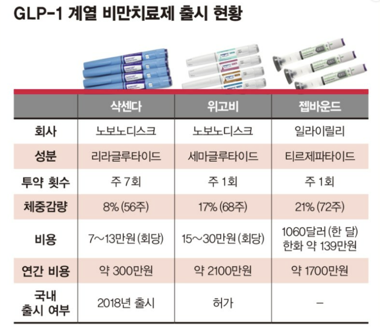 2024년에도 이어지는 테마, 글로벌 비만 치료제 노보 노디스크와 일라이 릴리 5 ywAAAAAAQABAAACAUwAOw==