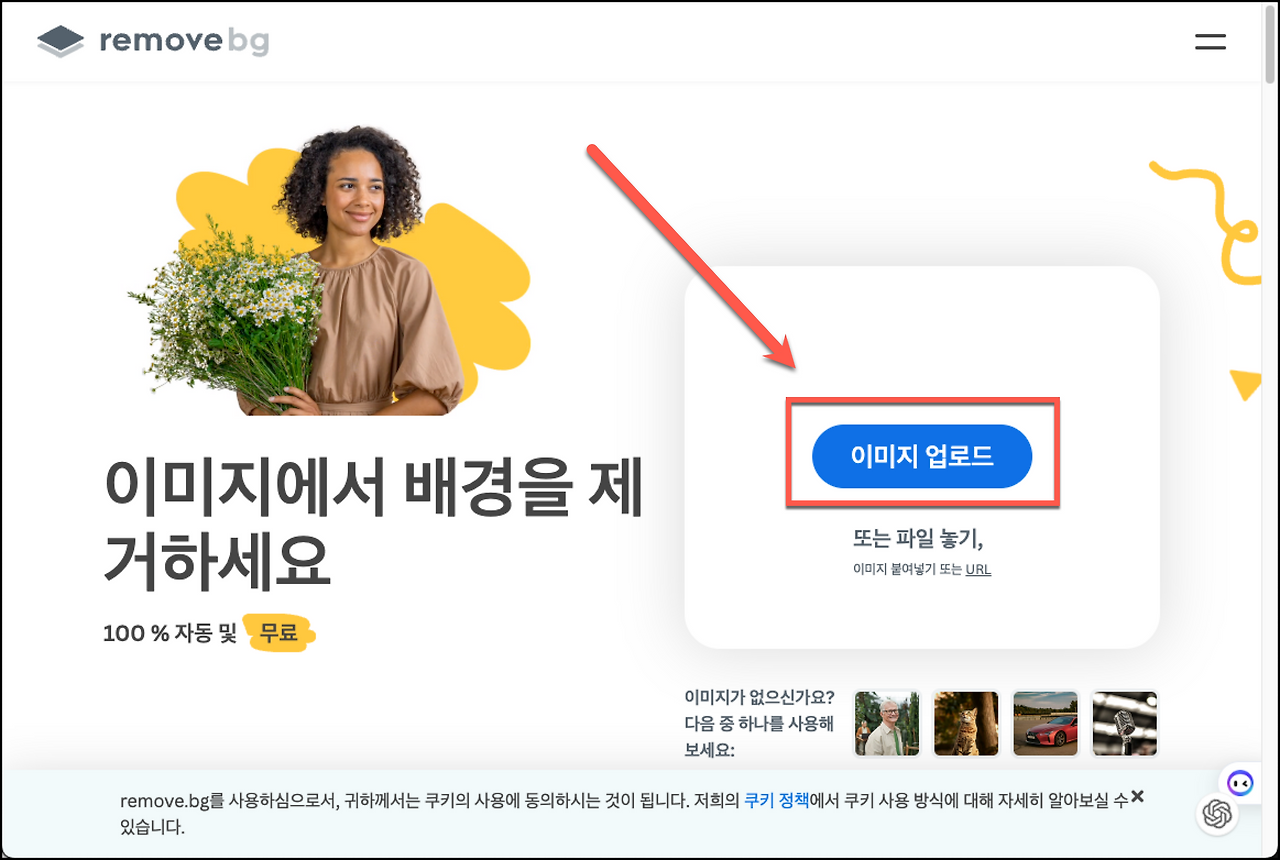 사진 및 이미지 배경 없애기, 누끼 따는 방법 1 ywAAAAAAQABAAACAUwAOw==