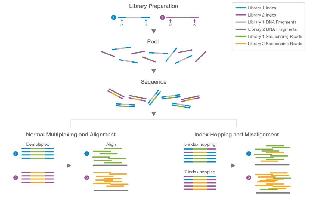 [NGS sequencing] 02.현 시대의 No.1 illumina sequencing (2세대) — bioinfo_Newbie