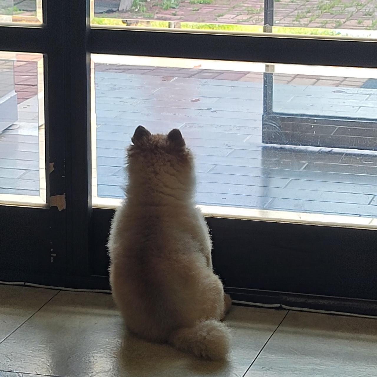 ?scode=mtistory2&fname=https%3A%2F%2Fblo