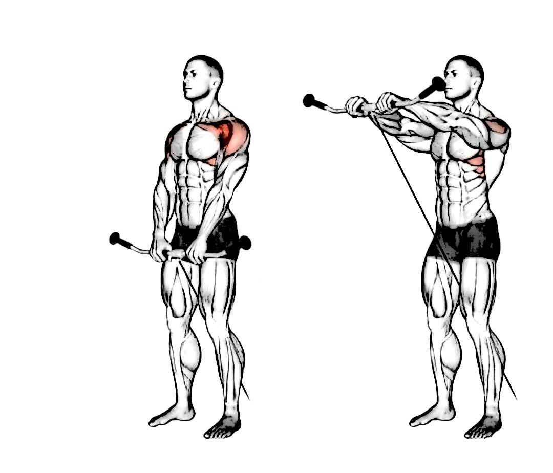 17 . 케이블 프론트 레이즈(Cable Front Raises)