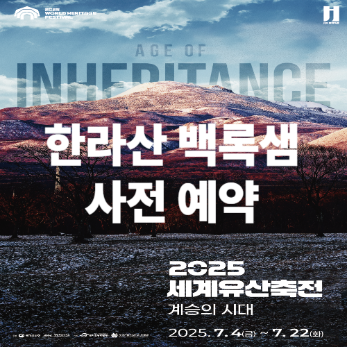 아로스 팝업