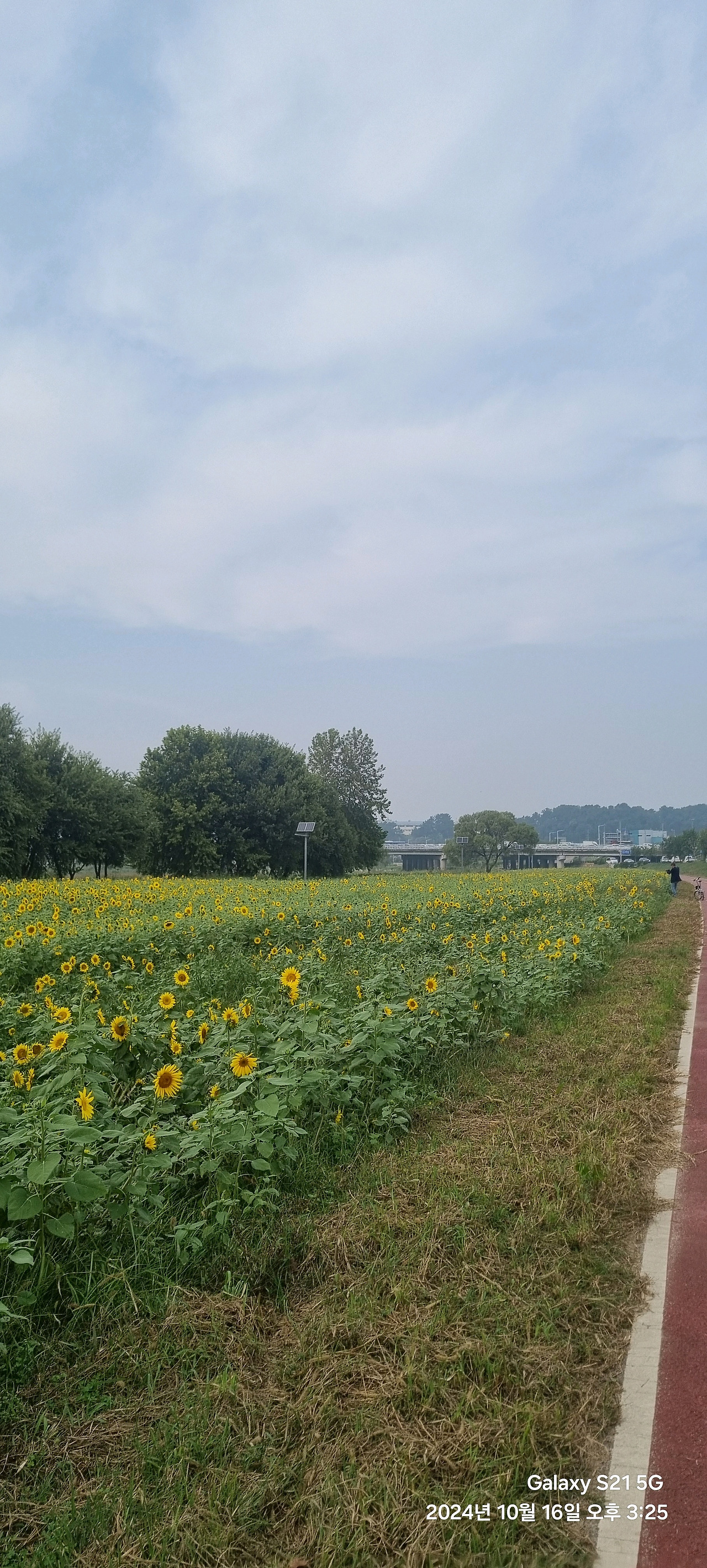 오천자전거길 3일 타고 성심당 대전 여행 (수안보, 소조령, 오창, 대청댐, 갑천, 성심당)