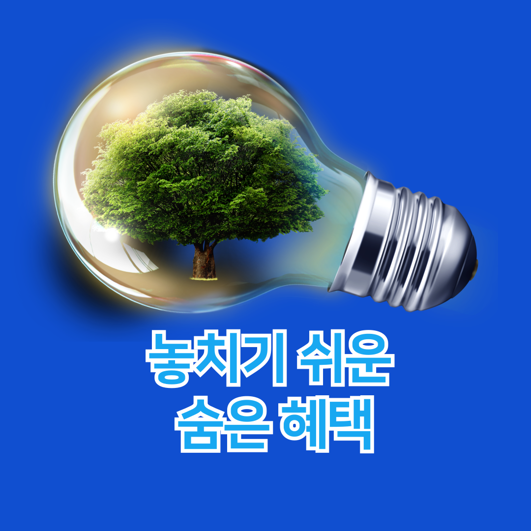 아로스 팝업