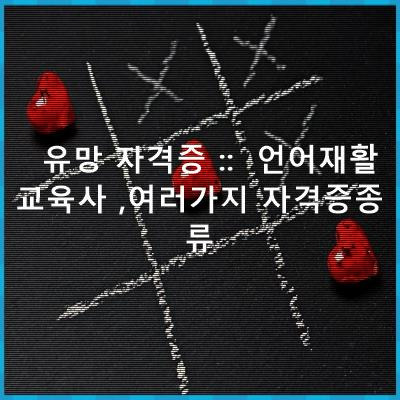 유망 자격증 :: 언어재활교육사 ,여러가지 자격증종류