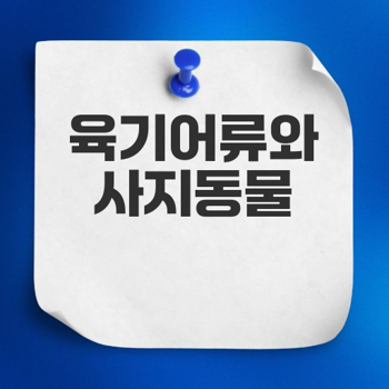  육기어류의 진화와 사지동물로의 변화: 실러캔스에서 폐어까지 Bildidee 