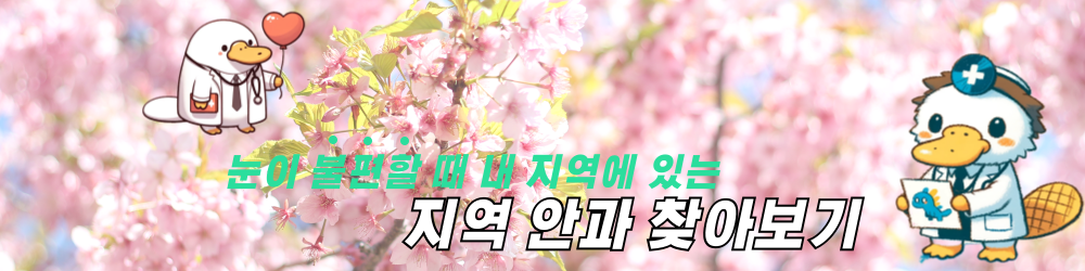 사람들이 찾는 강남구 대치동 안과 알아보기