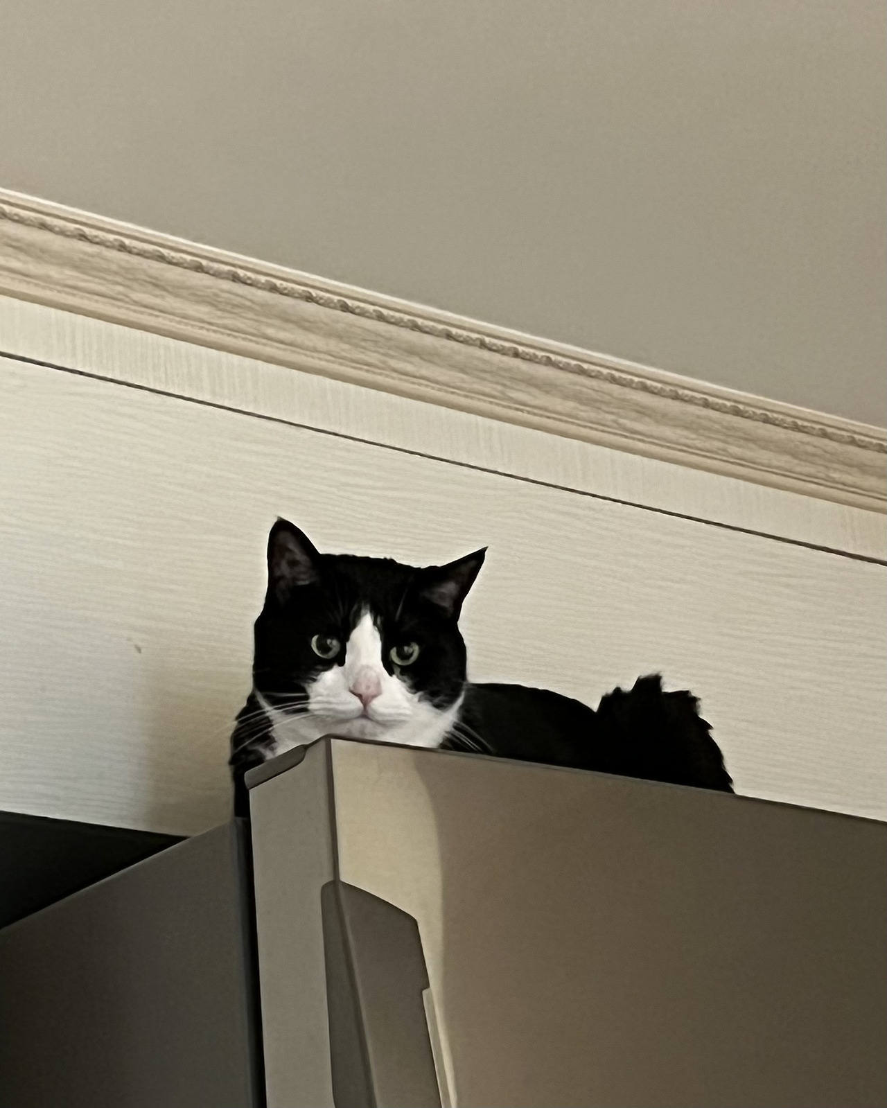 ?scode=mtistory2&fname=https%3A%2F%2Fblo