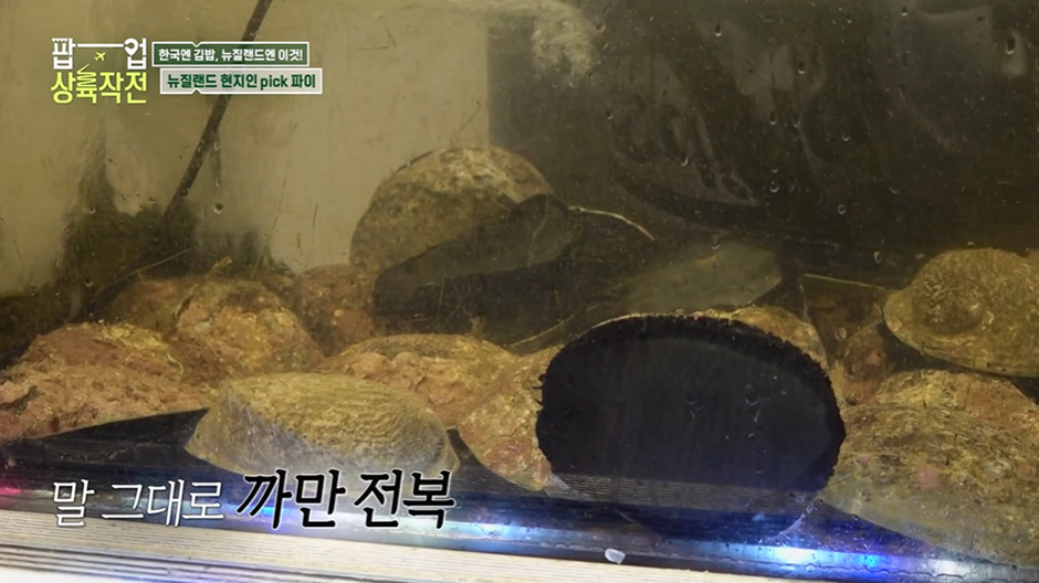 김해준이 한국인 입맛 찰떡이라고 호언장담한 뉴질랜드 전복파이…jpg | 인스티즈