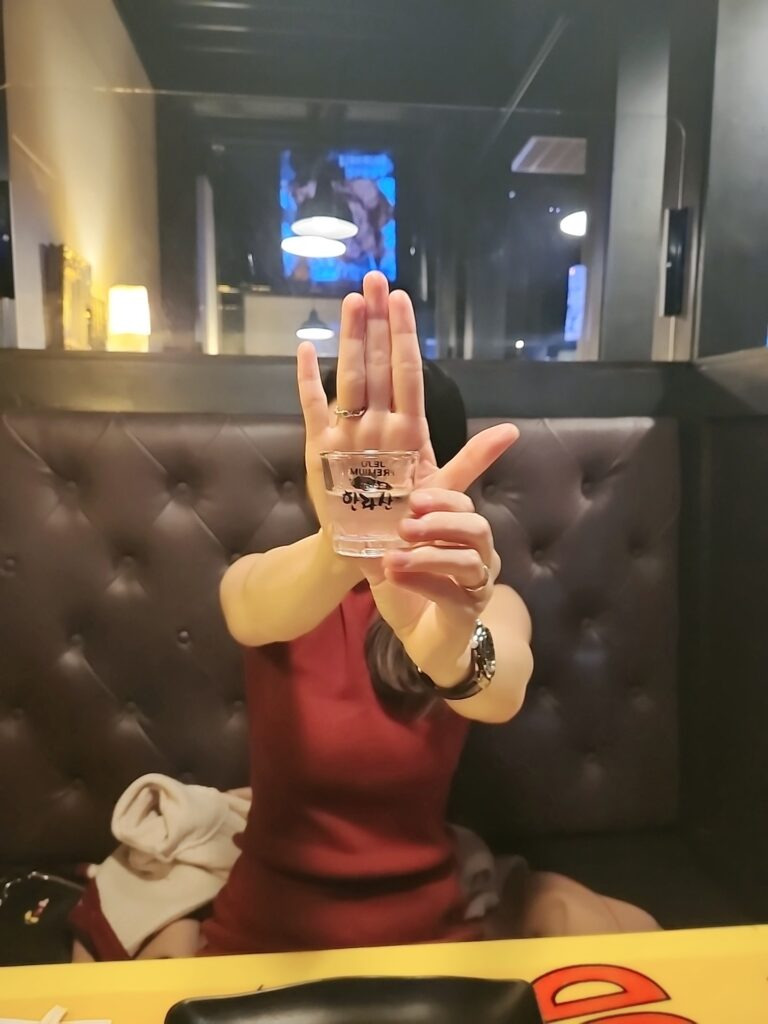 [미국] 시카고 가라오케 