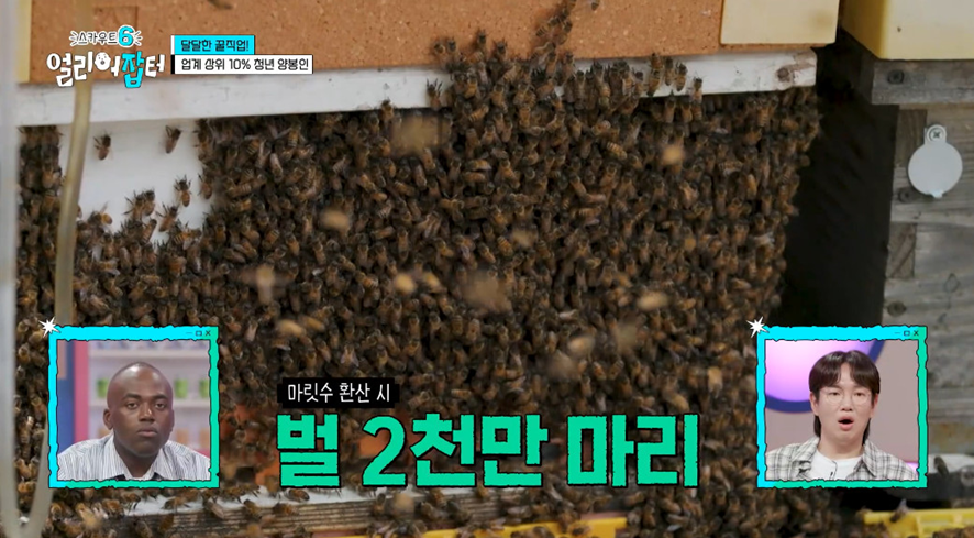 옛날이랑 다른 요즘 매출 4억 나온다는 농업.jpg | 인스티즈