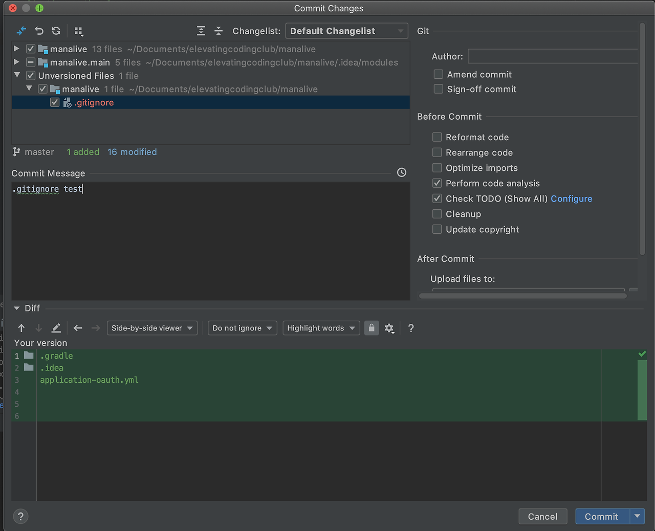 gitignore intellij