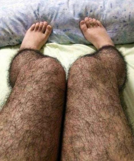 불쾌한 시선 퇴치용 '다리털 스타킹'