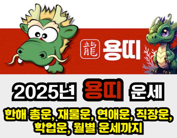2025년 운세 - 용띠