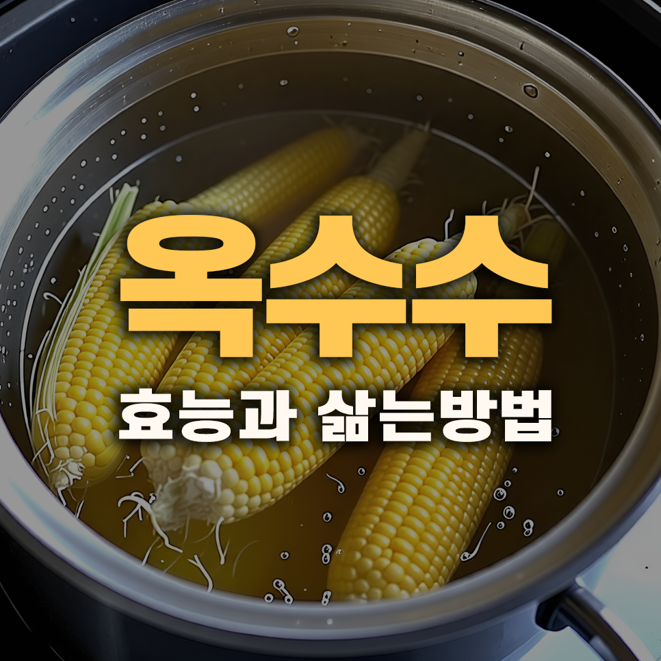 옥수수 효능과 칼로리 그리고 맛있게 삶는 법