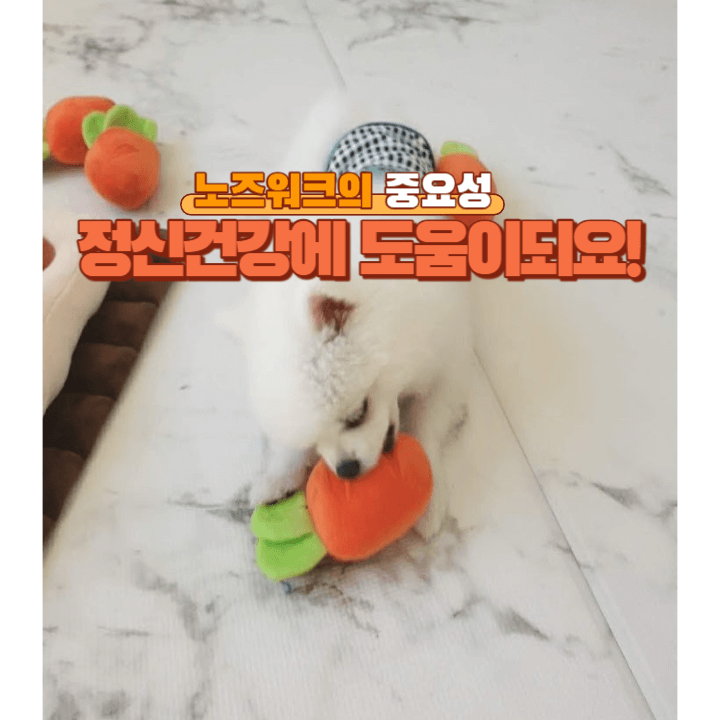 강아지 정신 건강: 노즈워크로 스트레스를 해소해주세요! 1 ywAAAAAAQABAAACAUwAOw==