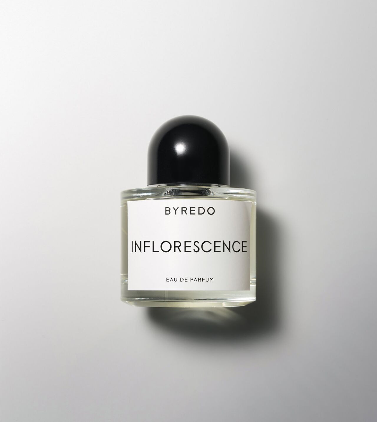 BYREDO Inflorescence