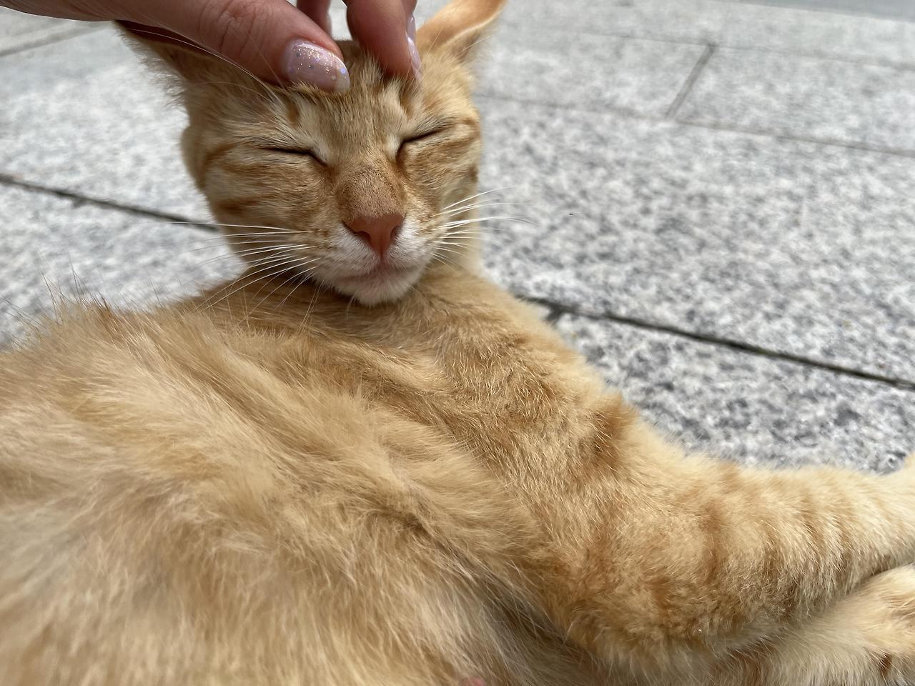 ?scode=mtistory2&fname=https%3A%2F%2Fblo