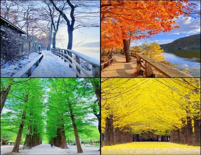 춘천 가볼만한곳 남이섬