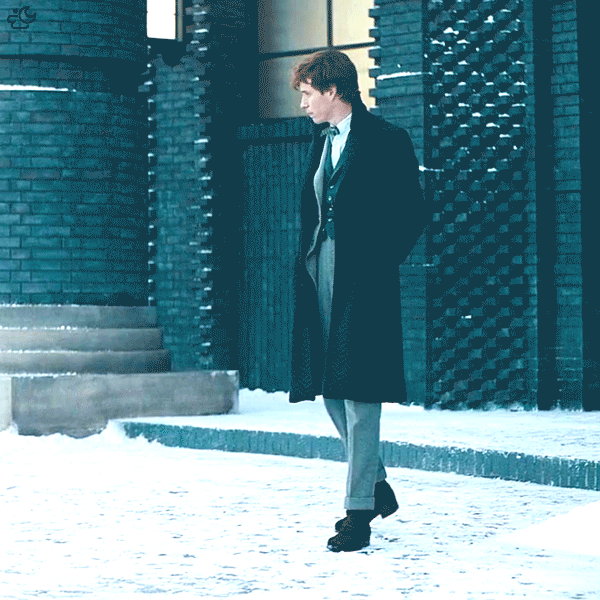 img.gif