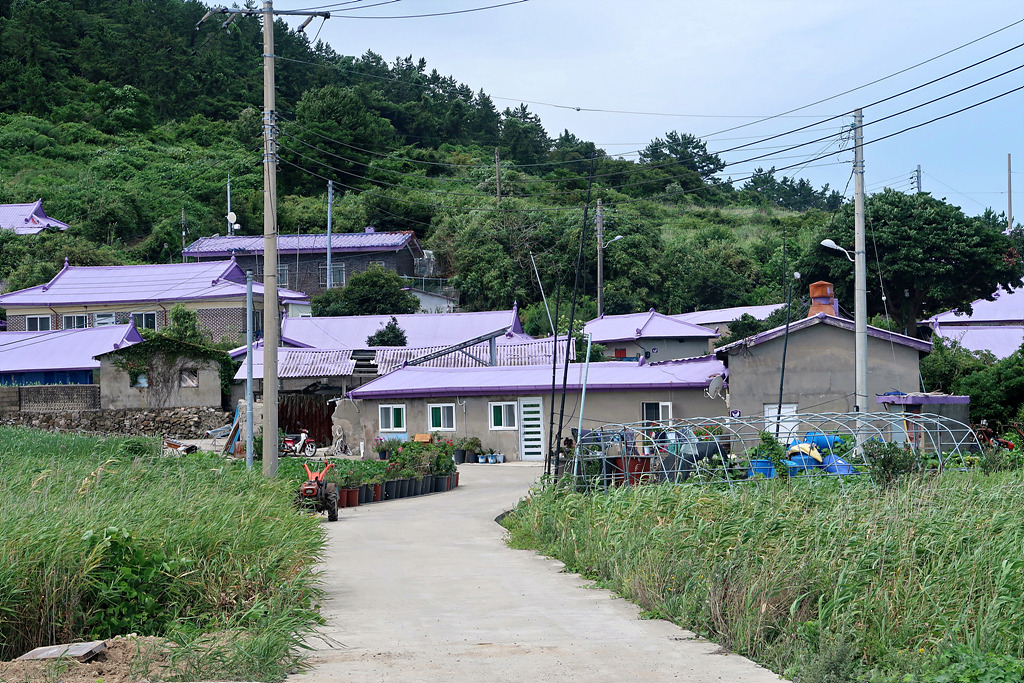 비금도 자전거 대여