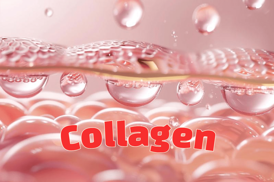 콜라겐으로 시작하는 건강한 노화: 영양제의 역할 1 Collagen