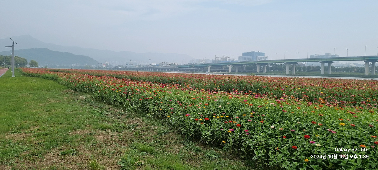 오천자전거길 3일 타고 성심당 대전 여행 (수안보, 소조령, 오창, 대청댐, 갑천, 성심당)