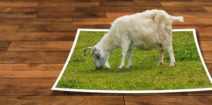 갤럭시 s21, z폴드, z플립, s20,노트20 인물,배경 제거 기능 사용방법. 개체 지우기. 원 UI 3.1업데이트.