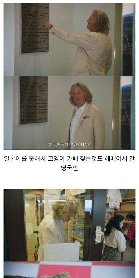 고양이 카페 처음가본 영국인 아저씨