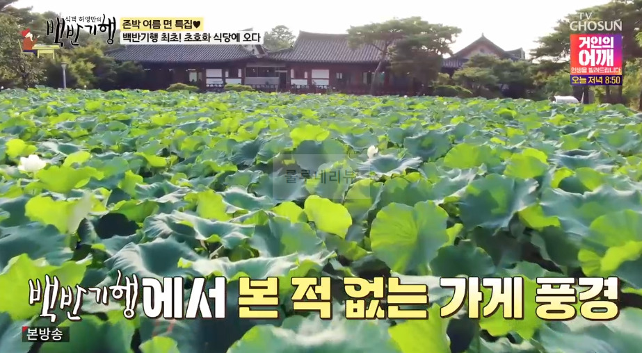 백반기행 고양 접시만두, 우리밀칼국수 식당 어디? 존박 허영만 초호화 식당 4 ywAAAAAAQABAAACAUwAOw==