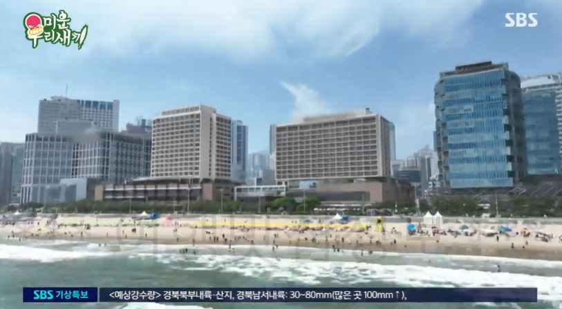 미운우리새끼 임원희 짠카소의 전시회, 부산 전시회 촬영지 호텔 위치 어디? 미우새 임원희 작가 데뷔 아트페어 1 ywAAAAAAQABAAACAUwAOw==