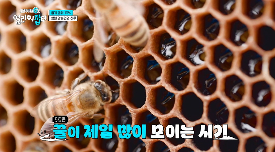 옛날이랑 다른 요즘 매출 4억 나온다는 농업.jpg | 인스티즈