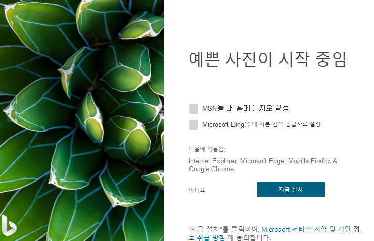 윈도우 배경화면 매일 멋진 새로운 사진으로 자동 변경하는 방법 5 ywAAAAAAQABAAACAUwAOw==