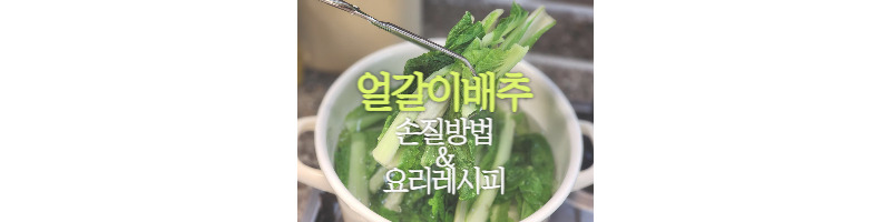 얼갈이배추 손질 방법과 배추된장국, 얼갈이배추무침 레시피 1 얼갈이배추