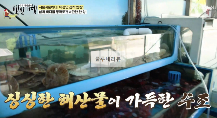 백반기행 삼척 대단한 한 상, 제철 부시리, 광어, 숙성회 세트, 해물탕 라면 파는 곳 식당 정보 - 바다를 통째로, 시원시원하다 이상엽 삼척 밥상 6 ywAAAAAAQABAAACAUwAOw==