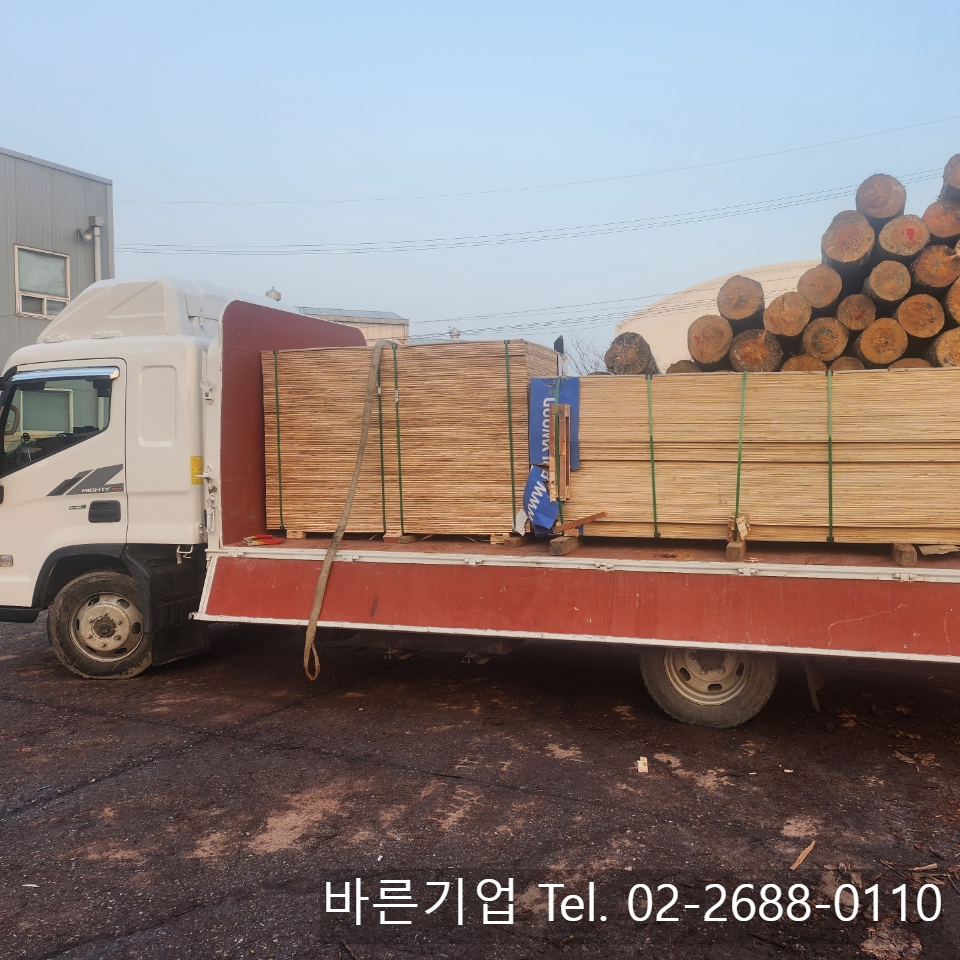 일반합판 48합판 36합판 규격 및 출하정보