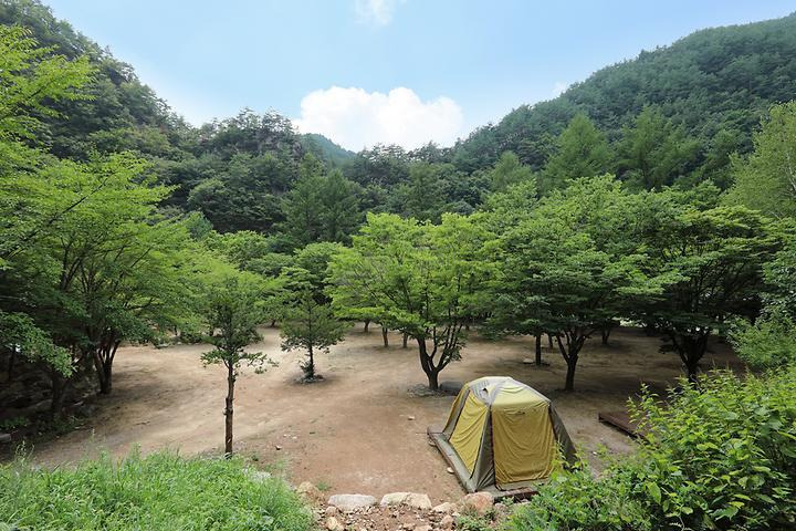 [경상북도 봉화군] 청옥야영장 - 고선계곡에 위치한 캠핑장