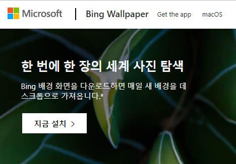 윈도우 배경화면 매일 멋진 새로운 사진으로 자동 변경하는 방법 3 ywAAAAAAQABAAACAUwAOw==