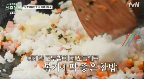 슬기로운 산촌생활 달걀볶음밥 만들기 레시피 17 ywAAAAAAQABAAACAUwAOw==