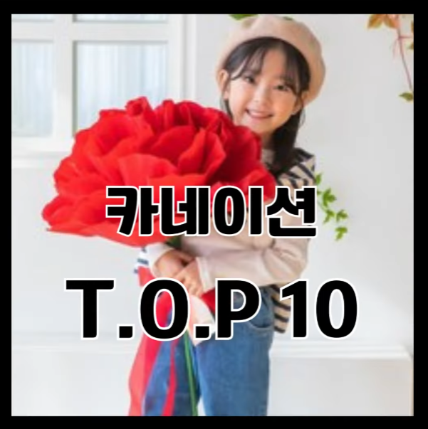 2023년 가장 인기있는 가성비 어버이날 선물 카네이션 👑TOP10 추천 순위 가격 비교