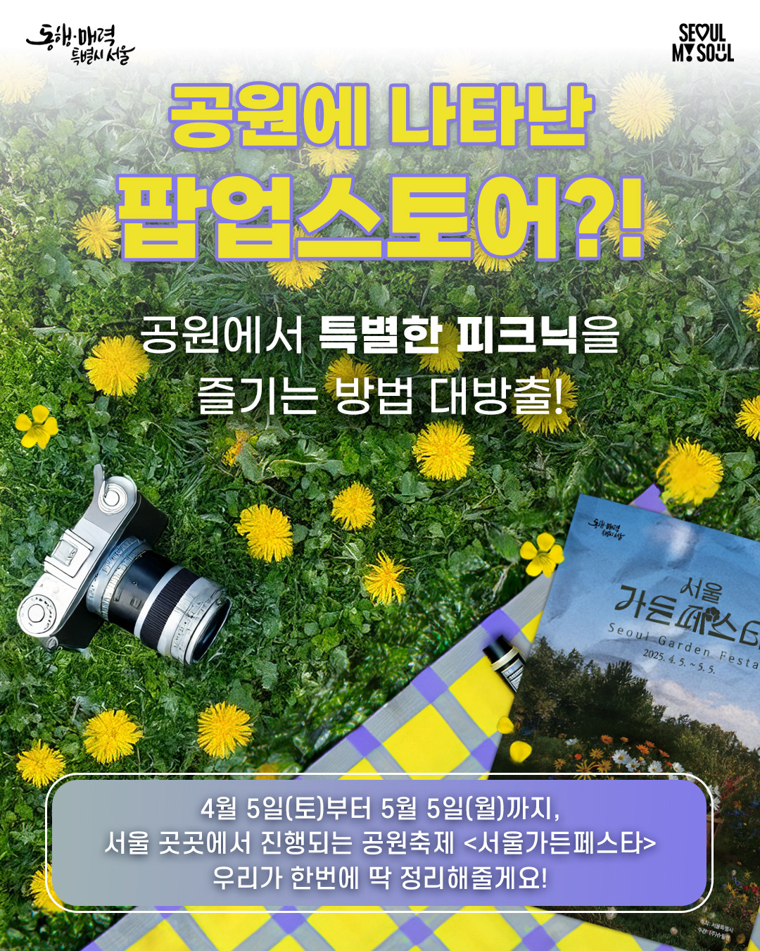 아로스 팝업