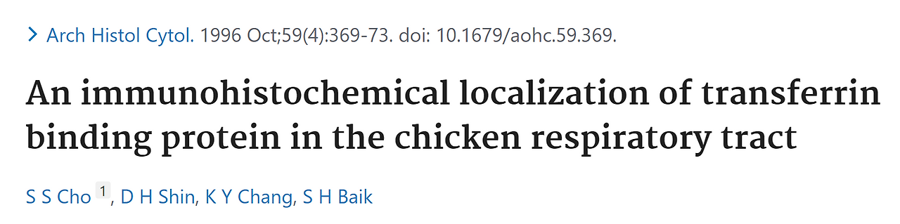 My First Paper (1996)