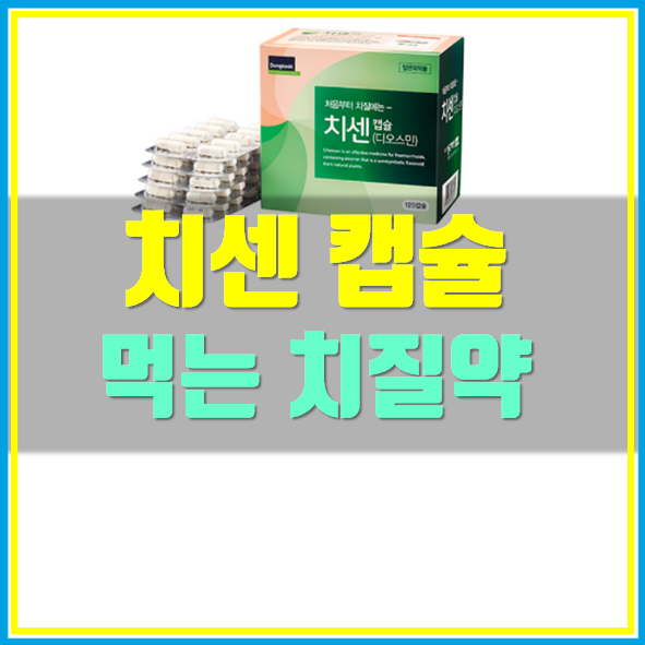 치센 가격 효과 먹는 치질약