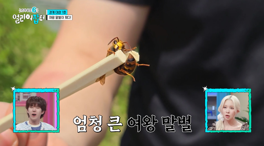 옛날이랑 다른 요즘 매출 4억 나온다는 농업.jpg | 인스티즈