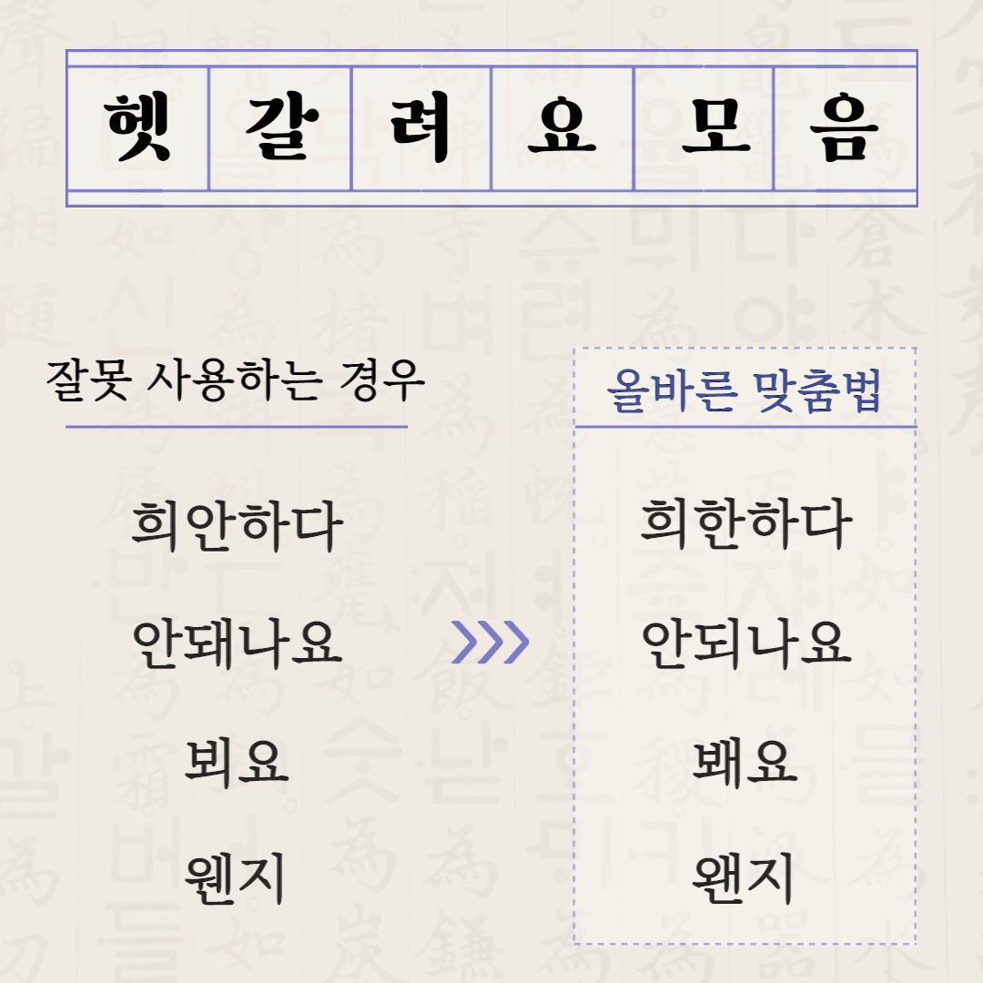 1박2일 헷갈리는 맞춤법 뭐가 맞는지 모르겠네, 희한하다 3 ywAAAAAAQABAAACAUwAOw==