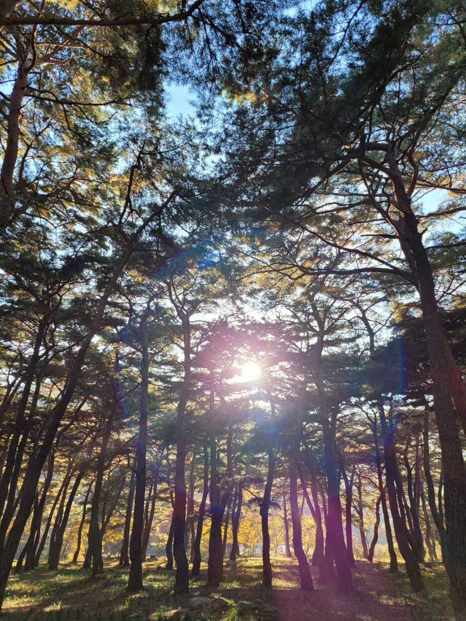 단풍을 보러 운문사로 가는 길