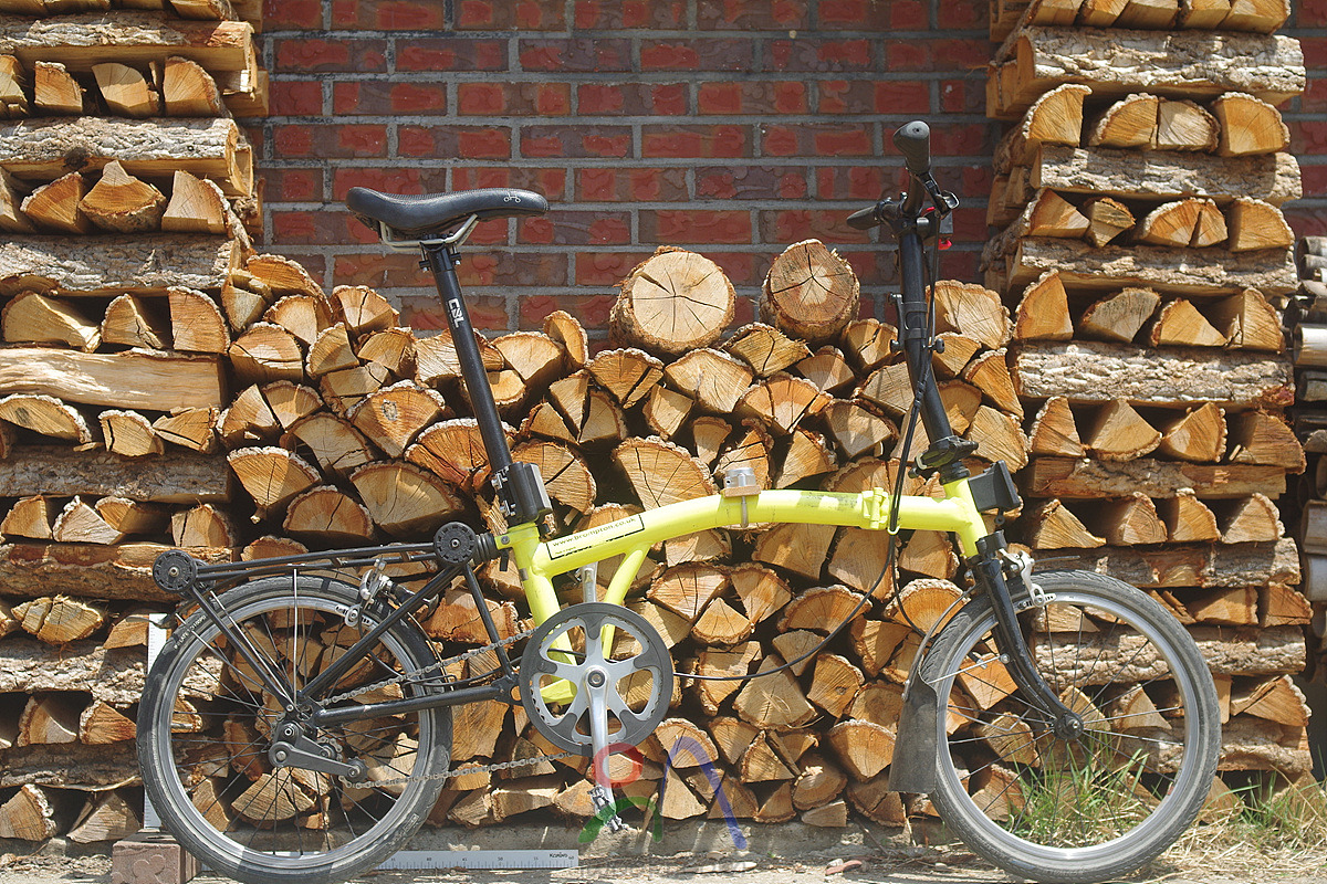 birdy vs dahon