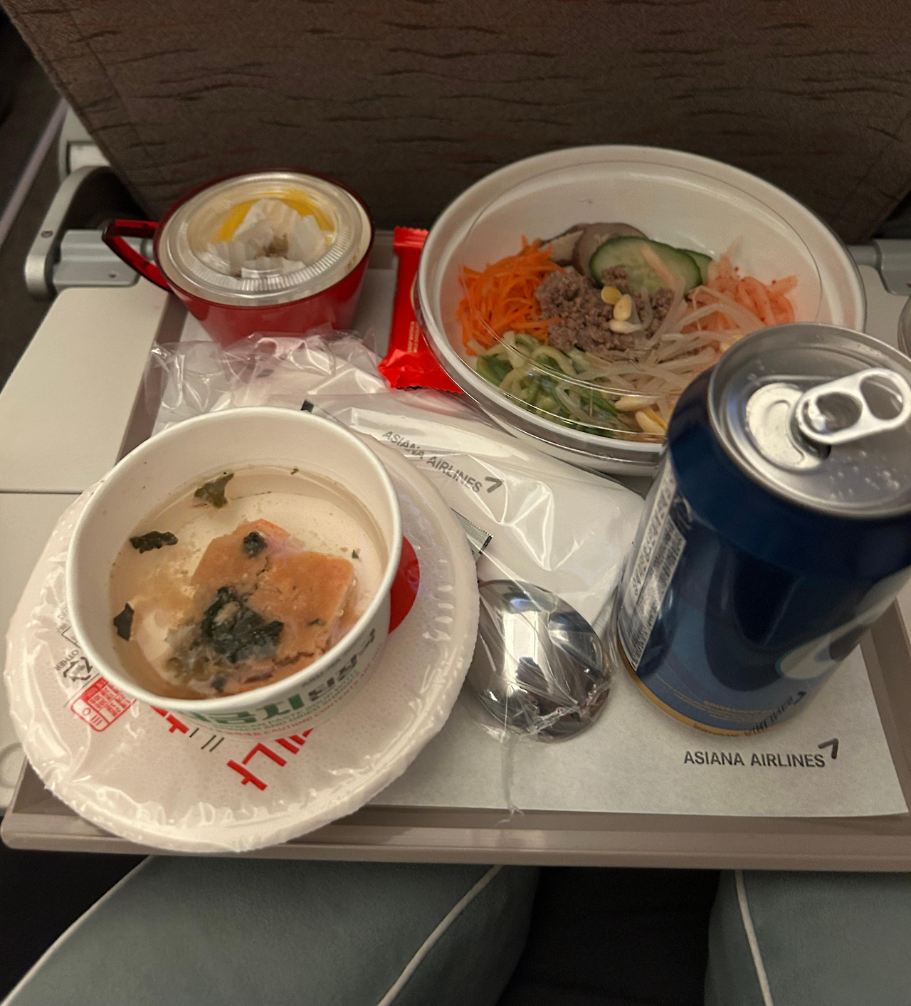 밴쿠버 인천공항 아시아나 & 에어캐나다 20시간 경유 후기