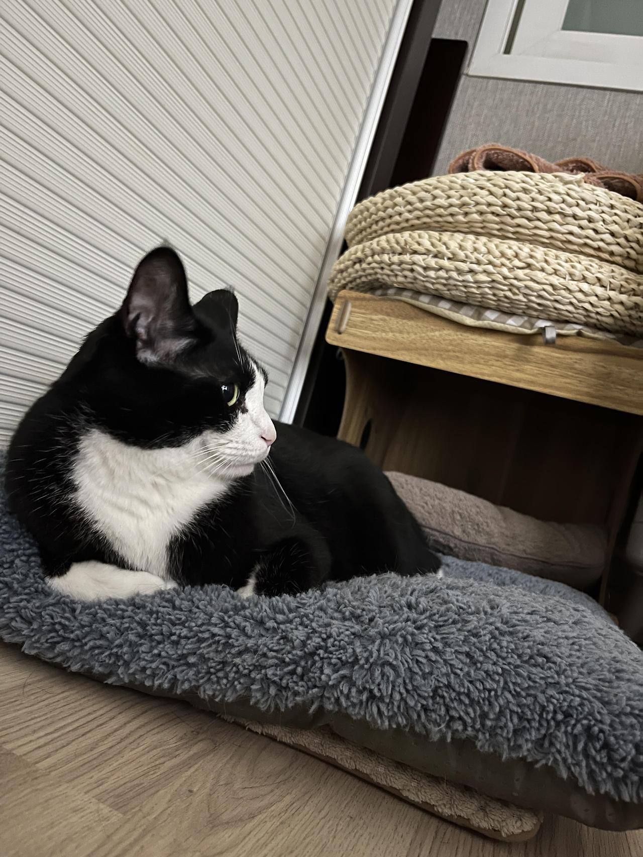 ?scode=mtistory2&fname=https%3A%2F%2Fblo